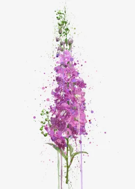 Flower Wall Art Print 'Delphiniums'